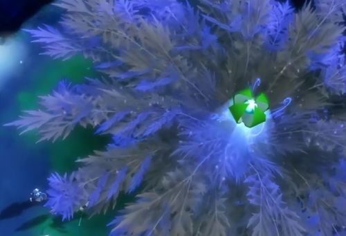 仙剑4攻略完整版(仙剑4仙术最佳分配表)插图24 仙剑4攻略完整版(仙剑4仙术最佳分配表)插图24