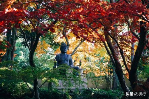 造梦西游2地藏金戒怎么融(造梦西游2八戒地藏金戒怎么融)插图24 造梦西游2地藏金戒怎么融(造梦西游2八戒地藏金戒怎么融)插图24