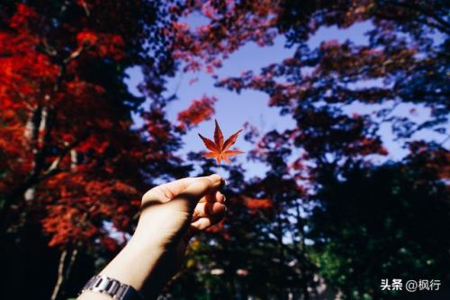 造梦西游2地藏金戒怎么融(造梦西游2八戒地藏金戒怎么融)插图6 造梦西游2地藏金戒怎么融(造梦西游2八戒地藏金戒怎么融)插图6