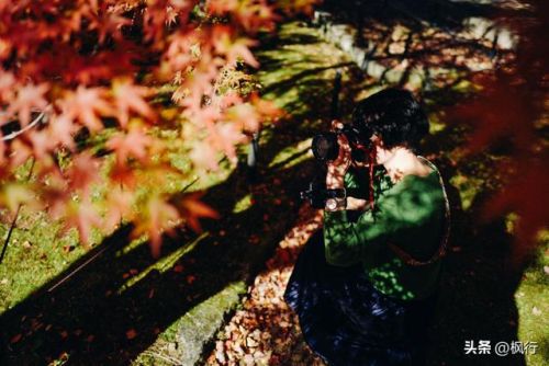 造梦西游2地藏金戒怎么融(造梦西游2八戒地藏金戒怎么融)插图11 造梦西游2地藏金戒怎么融(造梦西游2八戒地藏金戒怎么融)插图11