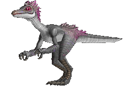 wow猎人宠物图鉴(联盟猎人必抓宠物一览表)插图23 wow猎人宠物图鉴(联盟猎人必抓宠物一览表)插图23