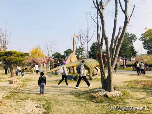 洛克王国紫藤(洛克王国紫藤的快速收集方法)插图26