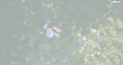 洛克王国威廉古堡背景(洛克王国古堡相框有什么用)插图1 洛克王国威廉古堡背景(洛克王国古堡相框有什么用)插图1