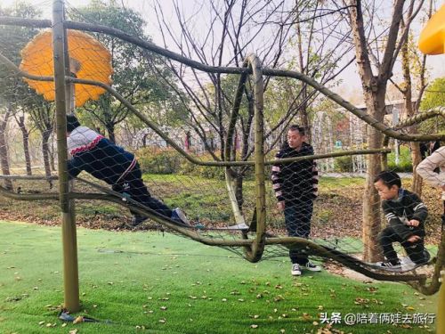洛克王国紫藤(洛克王国紫藤的快速收集方法)插图57