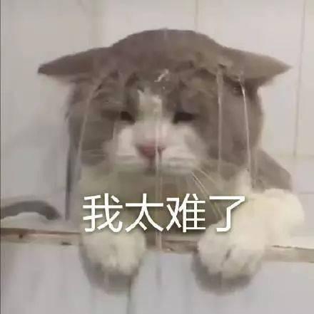 三国杀董卓技能(神董卓技能介绍)插图3