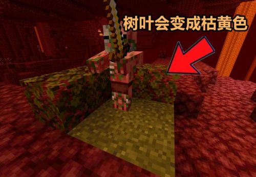 我的世界地狱门最大尺寸(地狱门的尺寸和种类)插图3