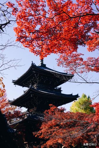 造梦西游2地藏金戒怎么融(造梦西游2八戒地藏金戒怎么融)插图7 造梦西游2地藏金戒怎么融(造梦西游2八戒地藏金戒怎么融)插图7