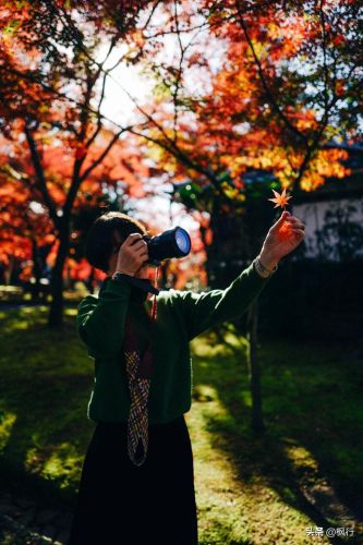 造梦西游2地藏金戒怎么融(造梦西游2八戒地藏金戒怎么融)插图10 造梦西游2地藏金戒怎么融(造梦西游2八戒地藏金戒怎么融)插图10