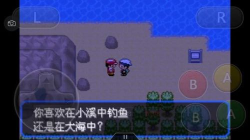 口袋妖怪绿宝石386二周目攻略(幻影之塔每一层有什么精灵)插图32