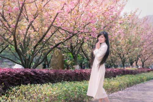 樱花校园的紫藤裙子的版本(樱花校园有紫藤礼服和旗袍)插图5 樱花校园的紫藤裙子的版本(樱花校园有紫藤礼服和旗袍)插图5