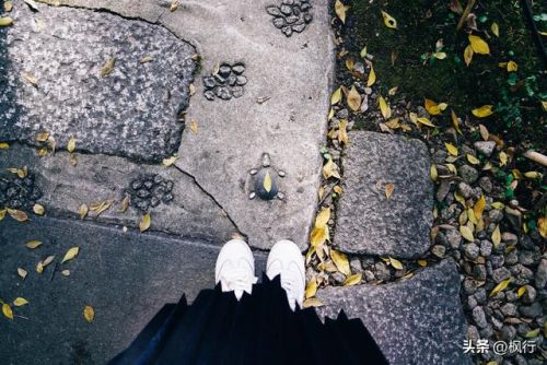 造梦西游2地藏金戒怎么融(造梦西游2八戒地藏金戒怎么融)插图16 造梦西游2地藏金戒怎么融(造梦西游2八戒地藏金戒怎么融)插图16