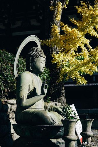 造梦西游2地藏金戒怎么融(造梦西游2八戒地藏金戒怎么融)