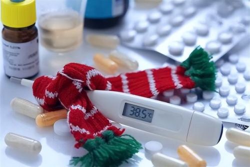 小孩子禁止看的东西(小孩子不能看拔萝卜)插图