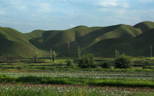 丝绸英雄(维护丝绸之路的功臣)插图17 丝绸英雄(维护丝绸之路的功臣)插图17