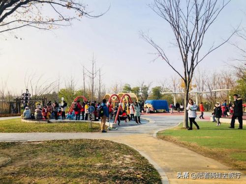 洛克王国紫藤(洛克王国紫藤的快速收集方法)插图53