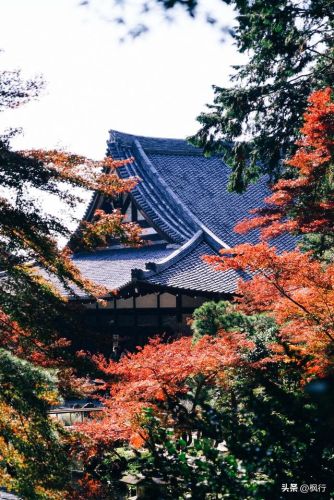 造梦西游2地藏金戒怎么融(造梦西游2八戒地藏金戒怎么融)插图18 造梦西游2地藏金戒怎么融(造梦西游2八戒地藏金戒怎么融)插图18