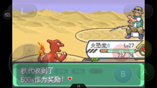 口袋妖怪绿宝石386二周目攻略(幻影之塔每一层有什么精灵)插图30
