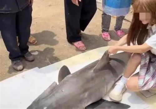 清除噬人黑暗(噬人意思)插图 清除噬人黑暗(噬人意思)插图