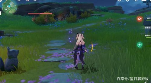 绯樱绣球怎么采集点(如何收集绯樱绣球)插图2 绯樱绣球怎么采集点(如何收集绯樱绣球)插图2