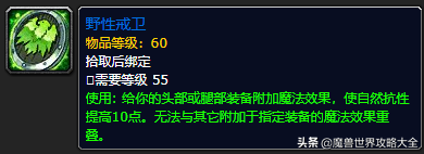 祖格附魔需要什么材料(zg附魔头腿更换流程)插图13