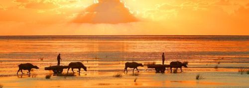 966传奇盒子(传奇盒子app排行榜)插图 966传奇盒子(传奇盒子app排行榜)插图