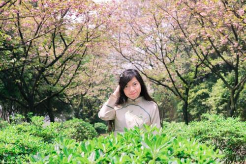 樱花校园的紫藤裙子的版本(樱花校园有紫藤礼服和旗袍)插图6 樱花校园的紫藤裙子的版本(樱花校园有紫藤礼服和旗袍)插图6