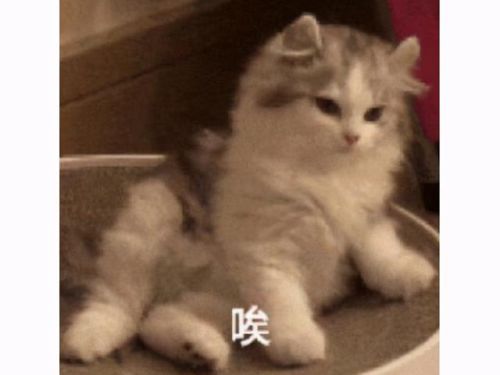 从牛头人酋长开始(主角穿越到牛头人部落)插图12