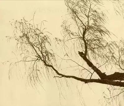 抽签助手(自定义抽奖软件)