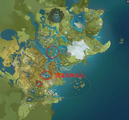 原神莲蓬在哪里可以买到(神洁20ml价位)插图 原神莲蓬在哪里可以买到(神洁20ml价位)插图