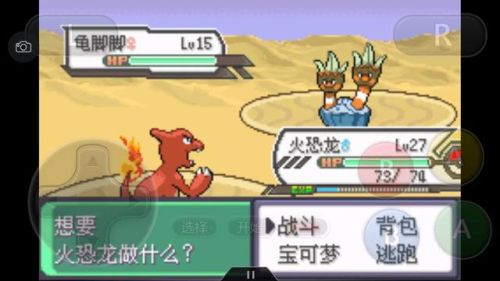 口袋妖怪绿宝石386二周目攻略(幻影之塔每一层有什么精灵)插图34