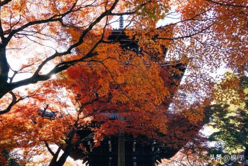 造梦西游2地藏金戒怎么融(造梦西游2八戒地藏金戒怎么融)插图2 造梦西游2地藏金戒怎么融(造梦西游2八戒地藏金戒怎么融)插图2