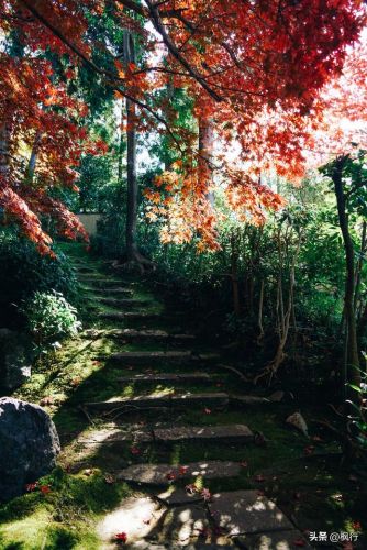 造梦西游2地藏金戒怎么融(造梦西游2八戒地藏金戒怎么融)插图23 造梦西游2地藏金戒怎么融(造梦西游2八戒地藏金戒怎么融)插图23