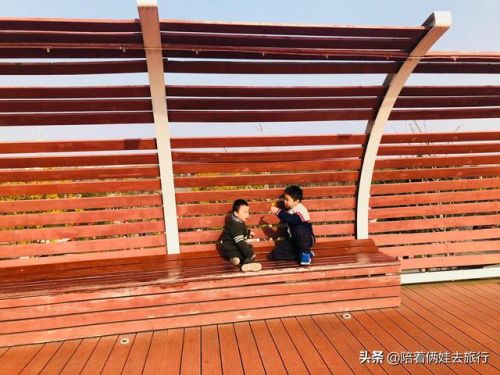 洛克王国紫藤(洛克王国紫藤的快速收集方法)插图42