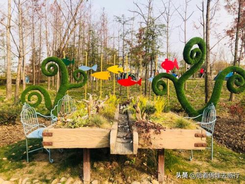 洛克王国紫藤(洛克王国紫藤的快速收集方法)插图63