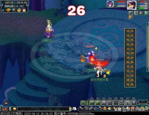 梦幻西游羽灵神(羽灵神拿弓箭攻击快还是法杖)插图18 梦幻西游羽灵神(羽灵神拿弓箭攻击快还是法杖)插图18