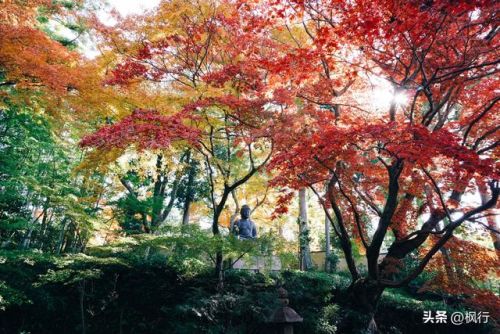 造梦西游2地藏金戒怎么融(造梦西游2八戒地藏金戒怎么融)插图22 造梦西游2地藏金戒怎么融(造梦西游2八戒地藏金戒怎么融)插图22