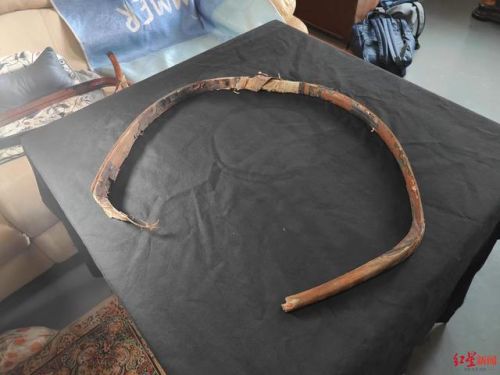 弓箭传奇(打米传奇)插图1 弓箭传奇(打米传奇)插图1