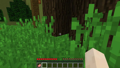 我的世界解密地图解说(鲤鱼解说我的世界生活大冒险)插图7 我的世界解密地图解说(鲤鱼解说我的世界生活大冒险)插图7