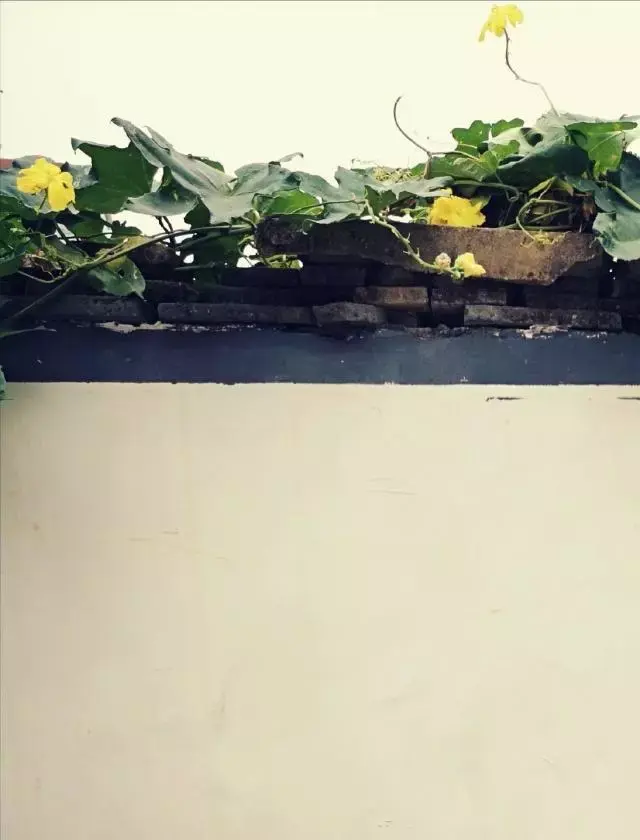 西游之绝世黑龙(穿越西游之火麒麟)