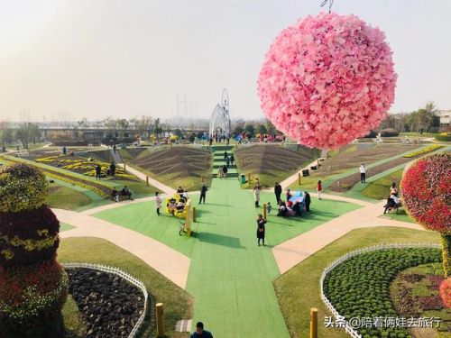 洛克王国紫藤(洛克王国紫藤的快速收集方法)插图38