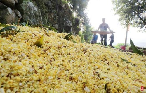 靖州苗族侗族自治县有名的甜点(靖州四大土特产)