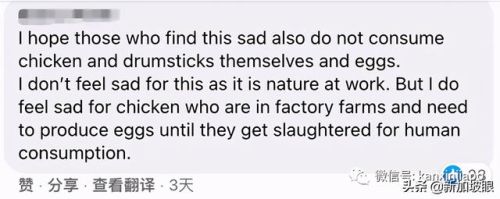 虐杀原形2利爪猛击任务(利爪猛击那关怎么过啊)插图4