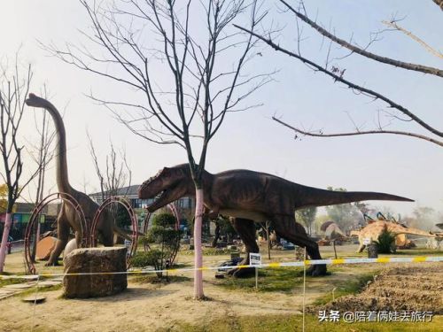 洛克王国紫藤(洛克王国紫藤的快速收集方法)插图25