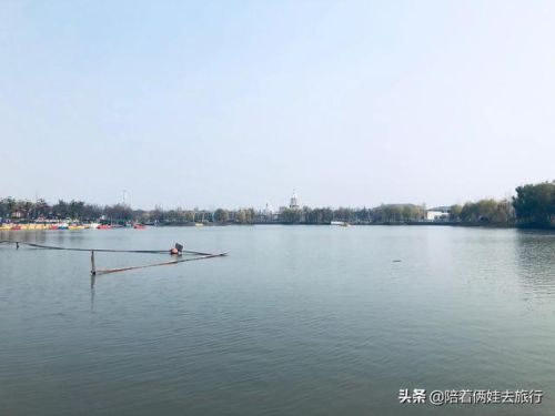 洛克王国紫藤(洛克王国紫藤的快速收集方法)插图5