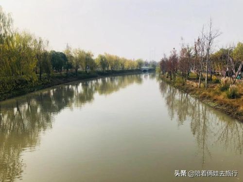 洛克王国紫藤(洛克王国紫藤的快速收集方法)插图12