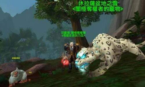 魔兽世界猎人幽灵狼(80级猎人幽灵狼在哪里抓)插图7