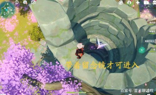 绯樱绣球怎么采集点(如何收集绯樱绣球)插图7 绯樱绣球怎么采集点(如何收集绯樱绣球)插图7