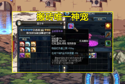 逆袭之谷宠物(dnf逆袭之谷95还能打吗)插图4