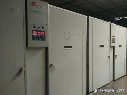 孵化宝典怎么用(帕尔萨斯怎么孵蛋)插图2 孵化宝典怎么用(帕尔萨斯怎么孵蛋)插图2