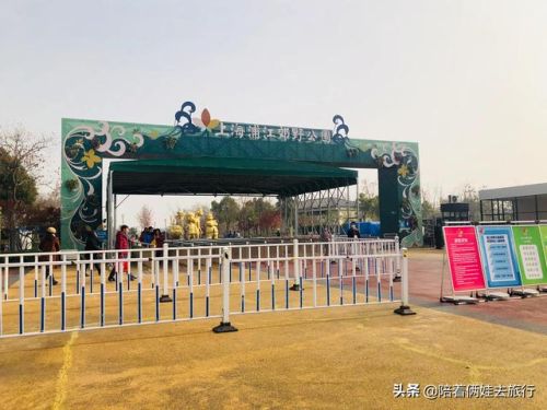 洛克王国紫藤(洛克王国紫藤的快速收集方法)插图